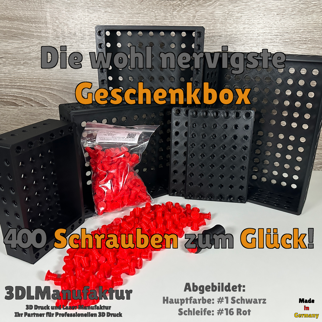 400 Schrauben Geschenkbox - Fertig zum Befüllen, Unterhaltung beim Auseinanderschrauben, Kreatives Handwerker Geschenk