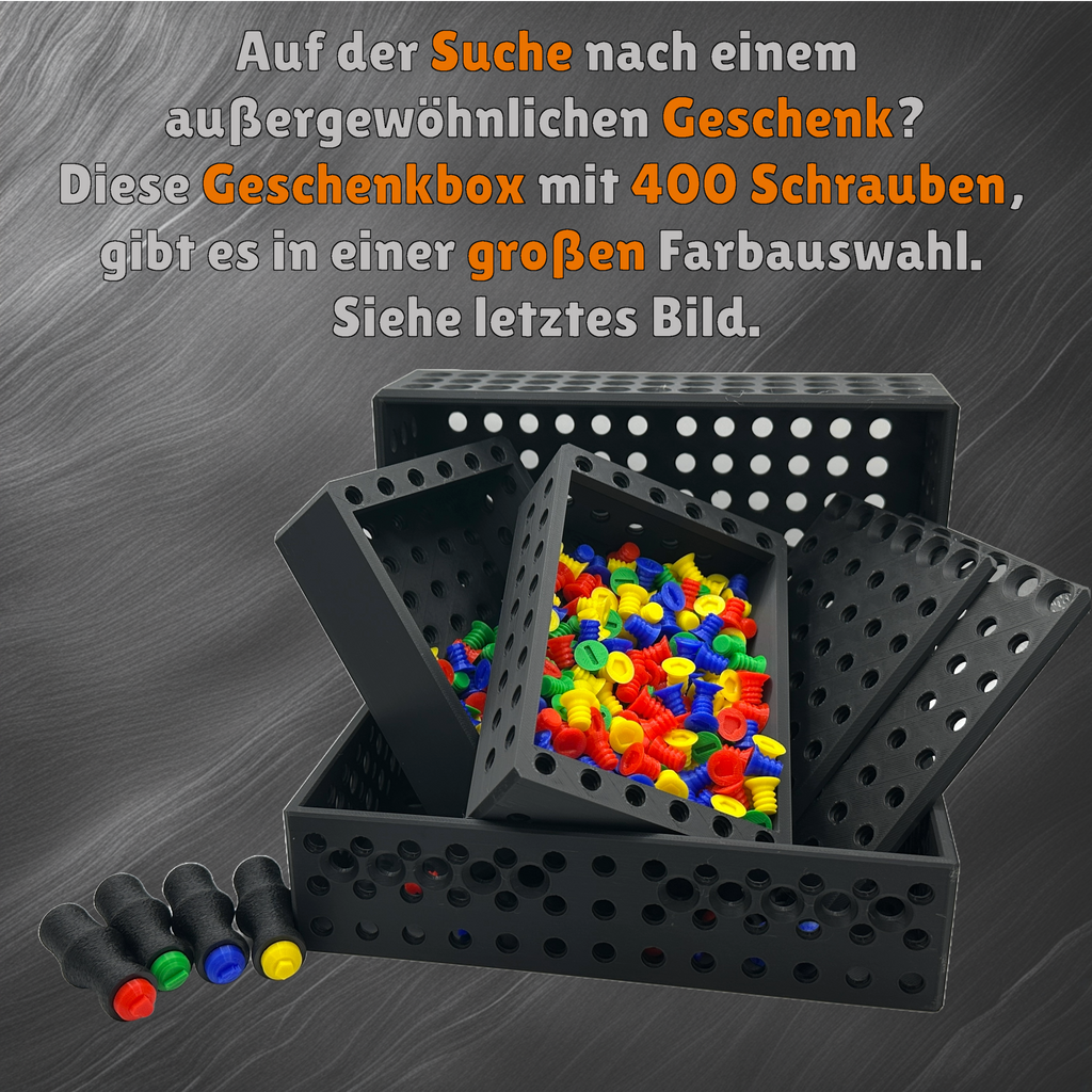 400 Schrauben Geschenkbox - 4 Schrauben / Bits - Fertig zum Befüllen, Unterhaltung beim Auseinanderschrauben, Kreatives Handwerker Geschenk